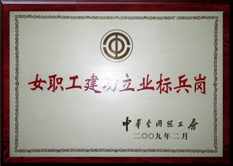 公司開發(fā)部獲“全國女職工建功立業(yè)標(biāo)兵崗”榮譽(yù)稱號